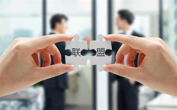 戰(zhàn)略聯(lián)盟與合作：強(qiáng)強(qiáng)聯(lián)手，共創(chuàng)未來
