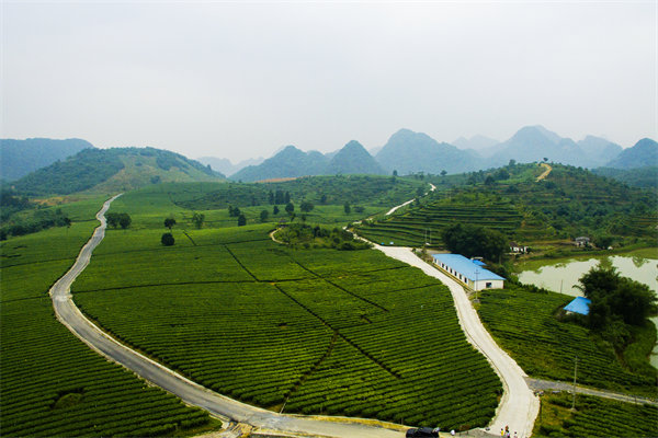清遠(yuǎn)管理咨詢機(jī)構(gòu)的定制化服務(wù)方面包含哪些內(nèi)容？